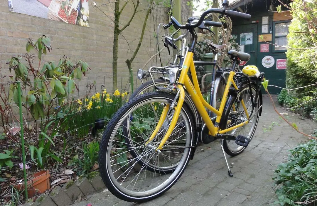 B&B Aan het Park Eindhoven-1